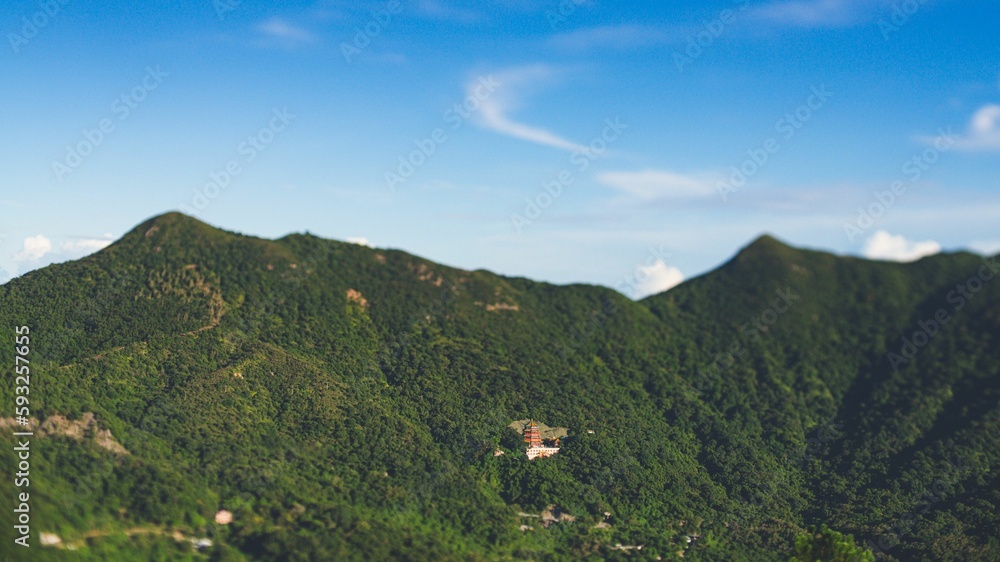 Aerial view of a beautiful forest near the mountains in Hong Kong