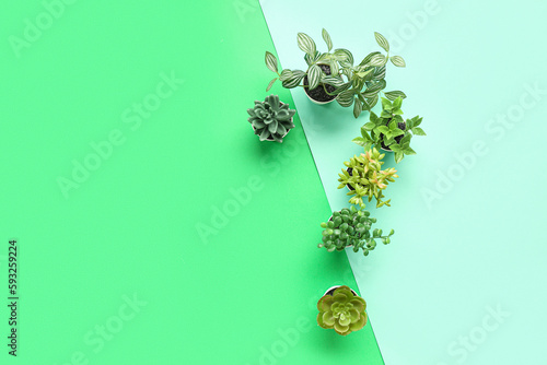 Question mark made of plant...