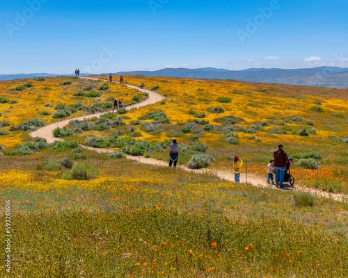 Photographie April 14, 2023, Lancaster, CA, USA: Visitors walk the trails at the Antelope Valley California Poppy Reserve in Lancaster, CA