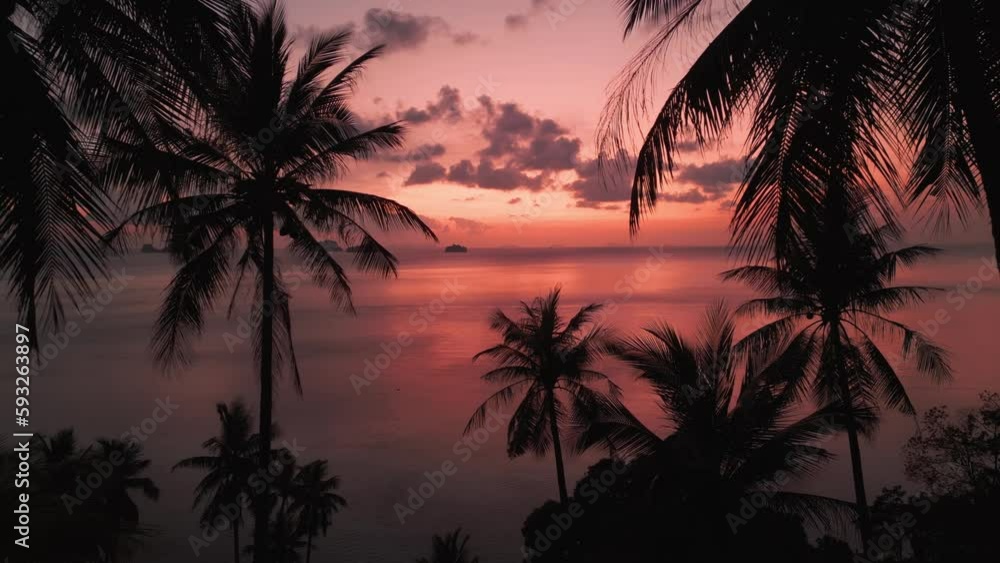 Cinematic aerial video camera moves Through silhouettes of palm trees to sea. Incredible orange tropical sunset on the sea and silhouettes of small islands. Concept of vacations in tropical country