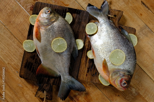 Pomfrets are perciform fishes belonging to the family Bramidae. Ikan bawal. Fresh pomfret and lemon. photo