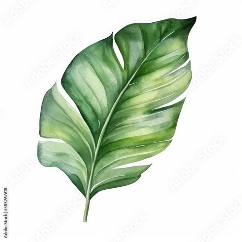 Tropical palm leaf watercolor. Illustration AI Generative.