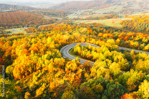 Aerial view of mountain road in forest at sunset in autumn