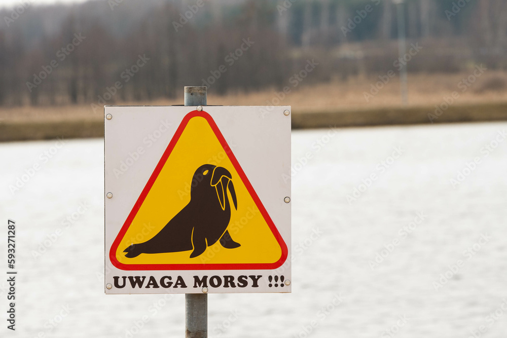 Znak morsów