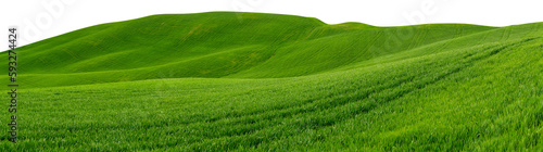 Tableau sur toile wide panorama of beautiful hilly meadow grass landscape isolated white background