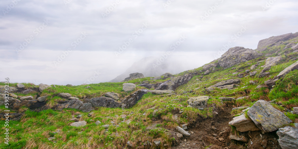 nature landscape on a foggy day. mountainous scenery in summer. difficult terrain with stones and boulders on a steep and wet grassy slopes