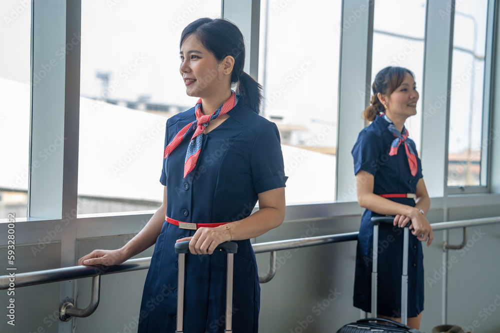 Flight Attendant main image 1