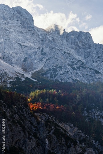 Vertical shot of the Alps mountain range with autumn trees on the rocks