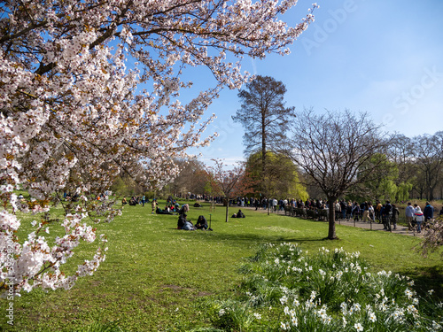 Parque de St.James IV photo