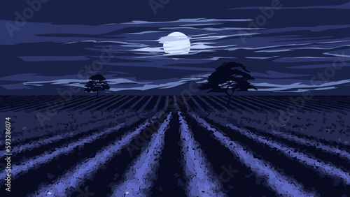 Vector night scene illustration with dramatic sky and moonlight over farmland