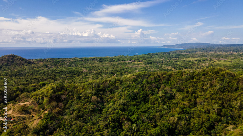 Jungle of Costa Rica, pura vida