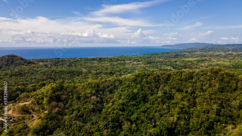 Jungle of Costa Rica, pura vida