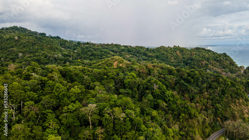 Jungle and the sea Costa Rica  beautiful sea and mountains  perfect nature  Green World