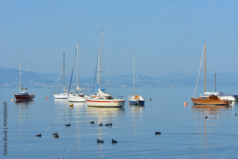 Bodensee, Wasserburg am  Bodensee, Boote, Segelboote, Hafen  im Morgenlicht an einem schönen Sommermorgen