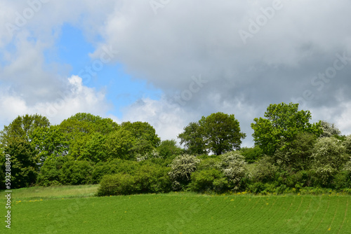 Flurgehölze, Felder, Beginn der Weißdornblüte an einem Hang am Rande des Ampertals bei Helfenbrunn. Wolken, Wolkenhimmel, Wolkenformen Wolkenstimmung im Mai