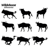 Set wildebeest silhouette vector illustration.