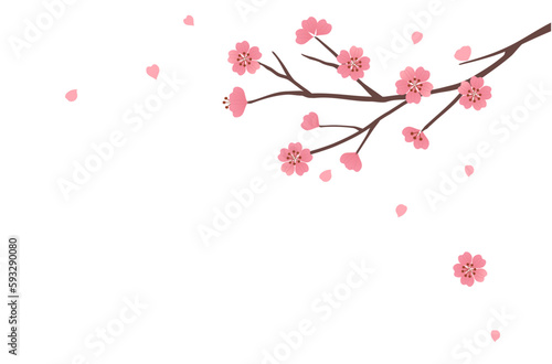 Cherry blossom branch Sakura flower and flying petals isolated on white background vector illustration.