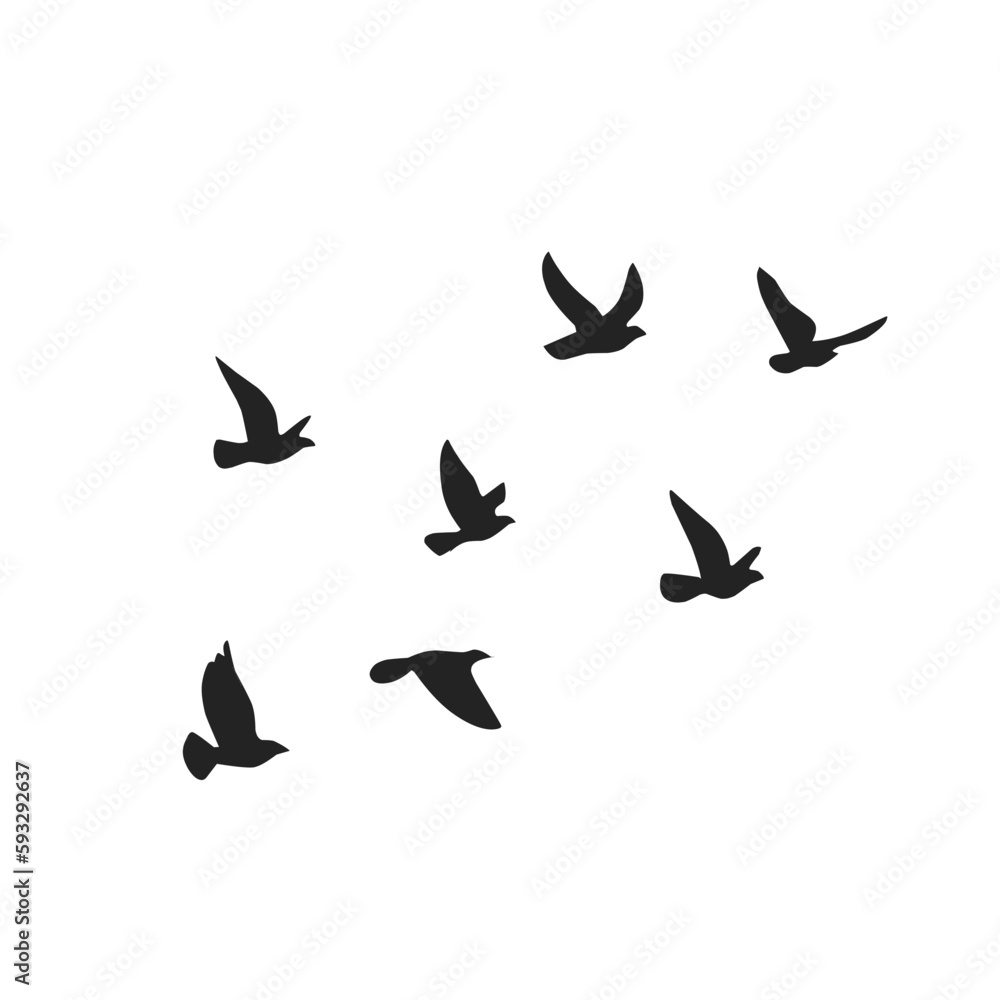 Vector silhouette of a flying bird  - obrazy, fototapety, plakaty 