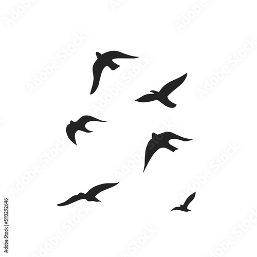 Vector silhouette of a flying bird 