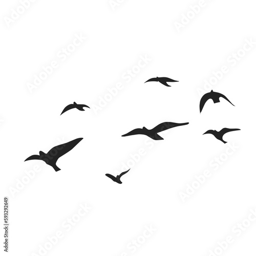 Vector silhouette of a flying bird  © Continent4L