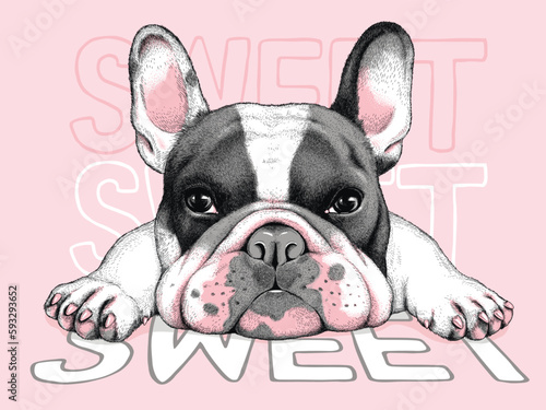 Cute french bulldog sketch. Vector illustration in hand-drawn style . Sweet illustration. Image for printing on any surface