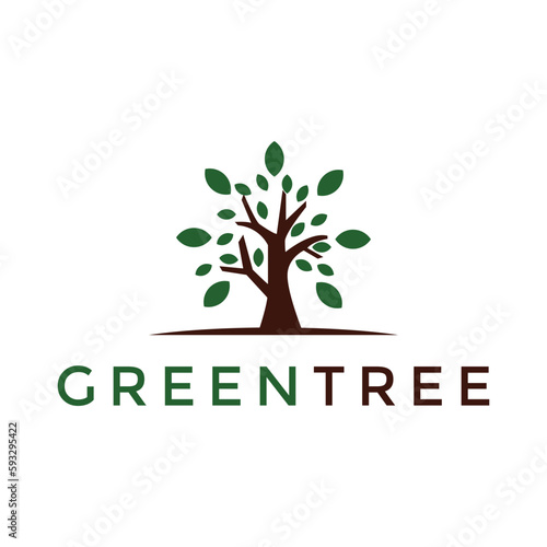 Tree logo design vector. Plant Logo design vector nature illustration