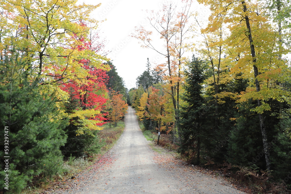 Backcountry dirt road in the fall/autumn.