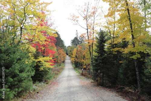 Backcountry dirt road in the fall autumn.