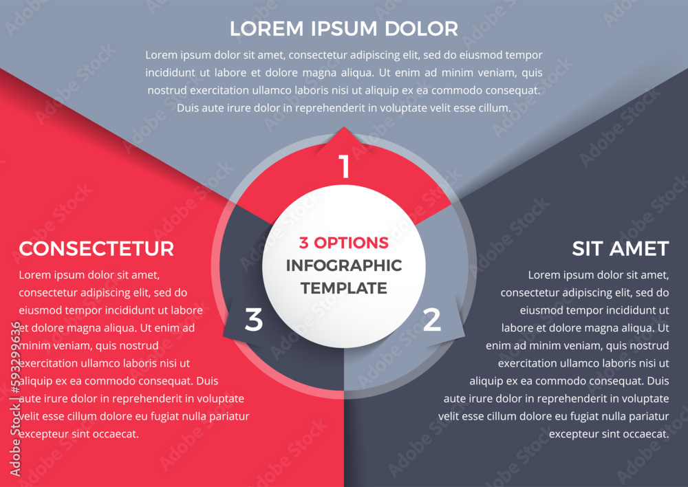 Infographic template with three steps or options, circle diagram, vector eps10 illustration