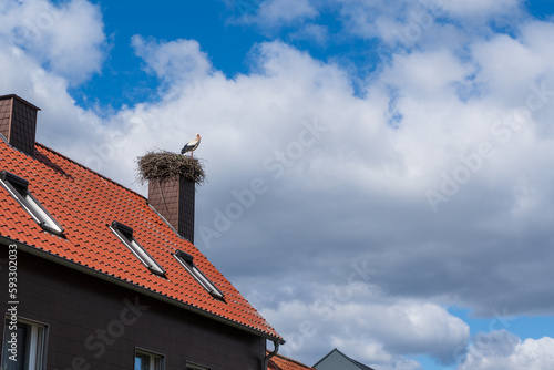 Wallpaper Mural Stork´s nest with a stork on the chimney of a gable roof Torontodigital.ca