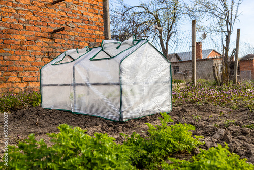 little mobile film covered greenhouse on ground in village garden on sunny spring day photo