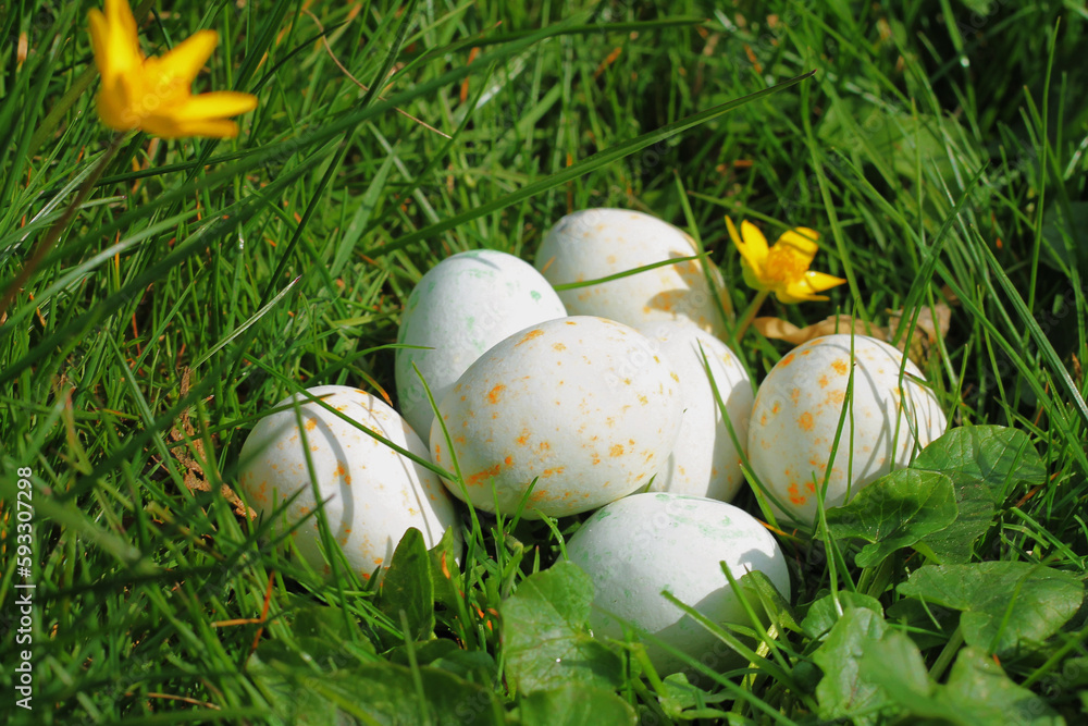 Easter eggs made of chocolate laying in the green grass and yellow flowers in the garden on a sunny spring day