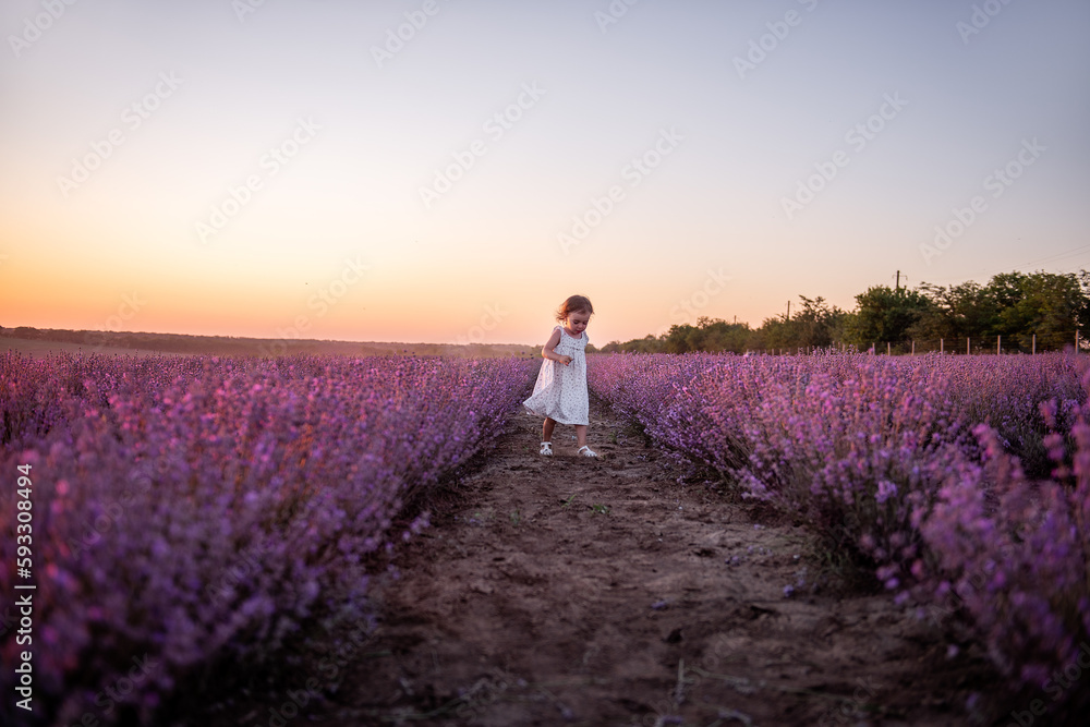 Obraz premium Little girl in flower dress runs across field of purple lavender among the rows at sunset. Toddler child have fun on walk in the countryside. Allergy concept. Natural products, perfumery. Copy space
