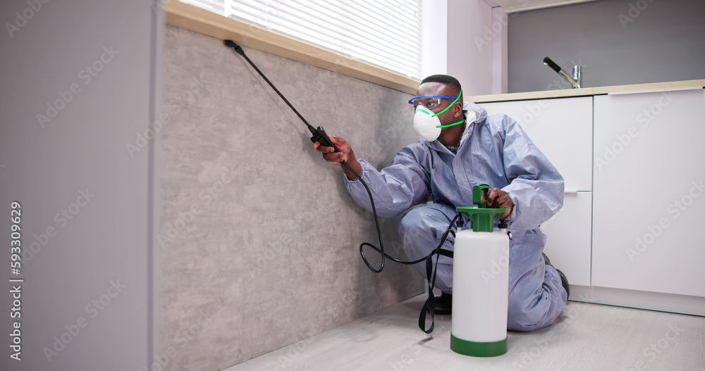 Male Pest Control Worker With Spraying Pesticide