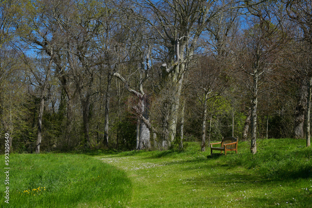 Végétation et banc publique - Parc de la Briantais à Saint-Malo Végétation et banc publique - Parc de la Briantais à Saint-Malo