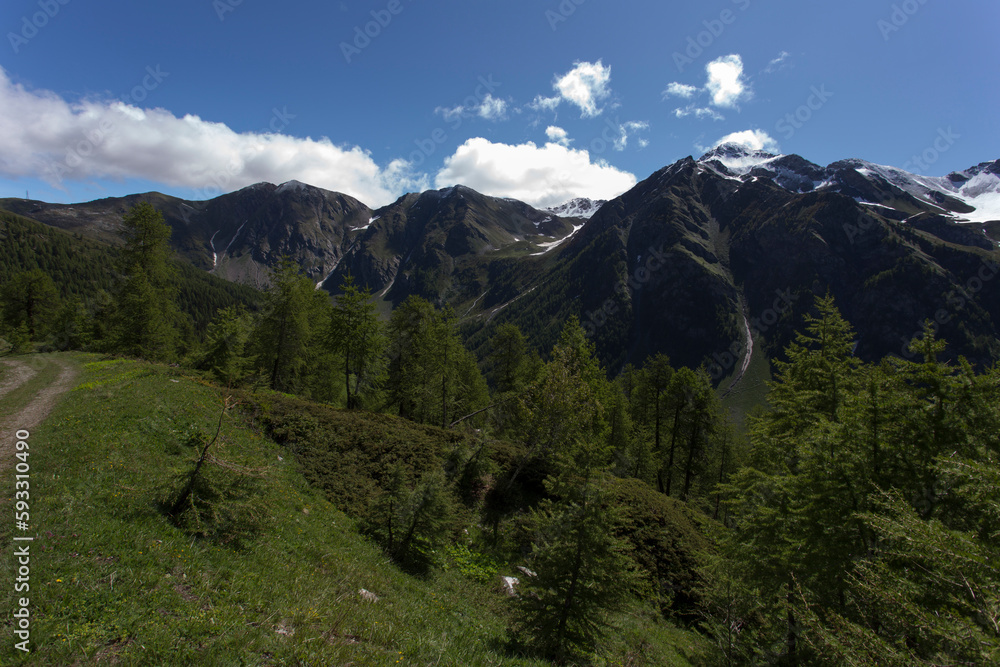 Fototapeta premium A view of mountain during spring