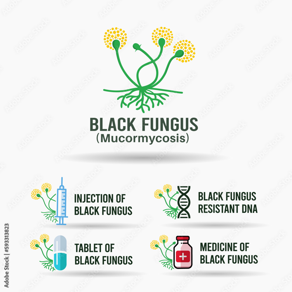 Black Fungus vector design