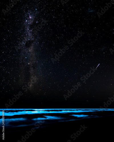 Bilde på lerret Amazing bioluminescence and stars at night.