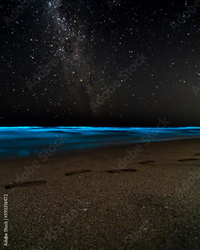 фотографія Amazing bioluminescence and stars at night.