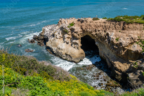 The coast and coves of La Jolla