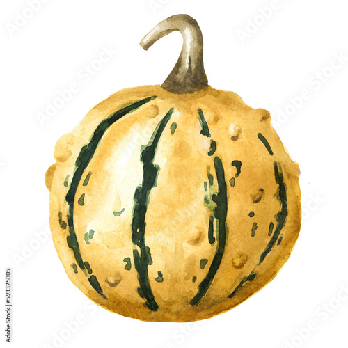 Decorative warty yellow pumpkin. Watercolor hand drawn illustration isolated on white background