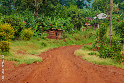 A dirt and gravel road leading through the african rainforest and jungle of Africa.