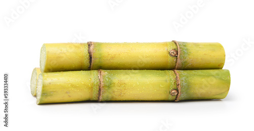 Fresh sugar cane stalk with water droplets isolated on white background. Clipping path.