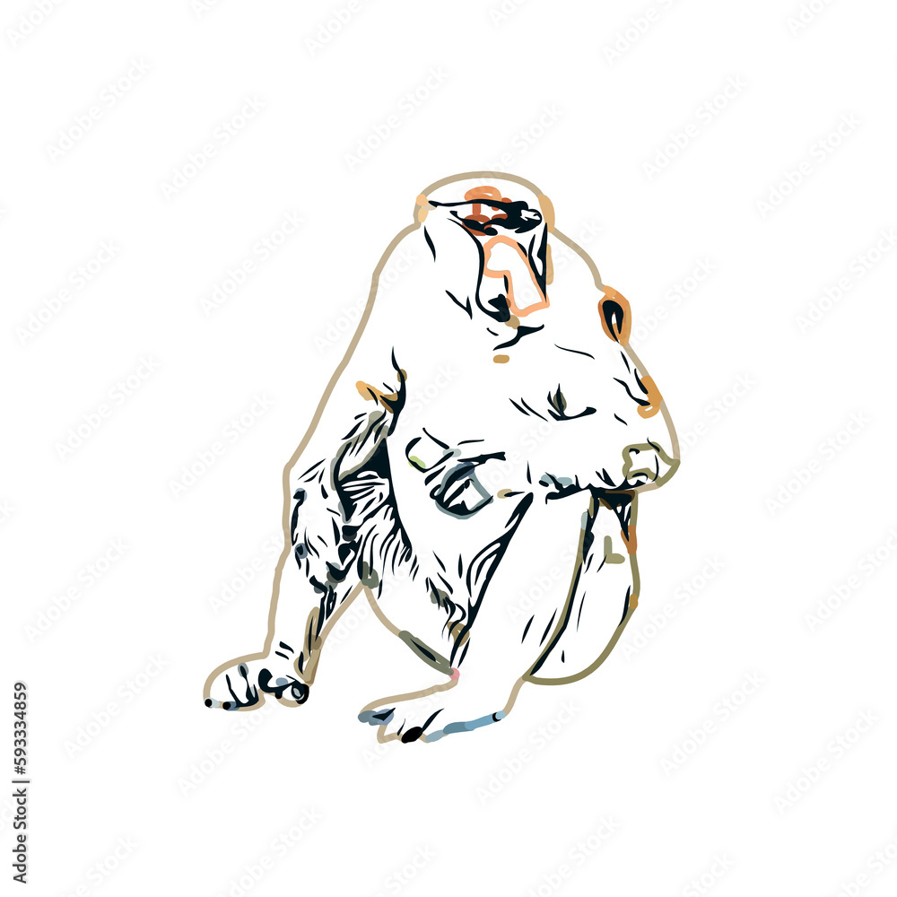 Fototapeta premium monkey color sketch with transparent background