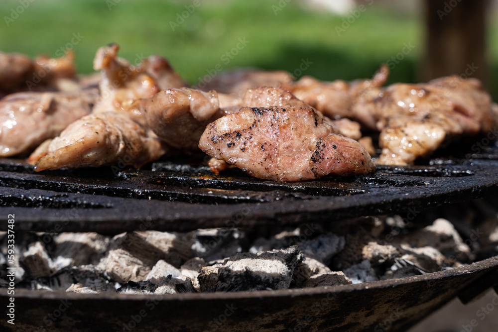 Pork being cooked on grill. Selected focus. Seasonal photo. Barbeque outside. Camping, chilling  in garden, vacation time.