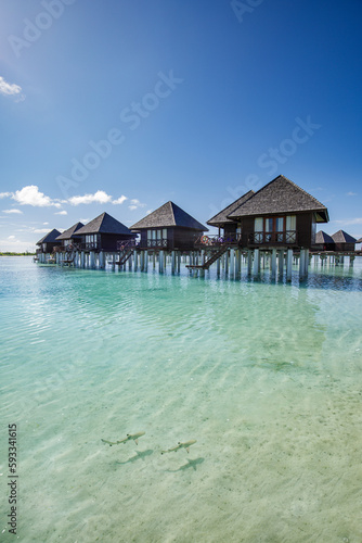 Beautiful Maldives island, luxury water villas resort. Beautiful sunny sky and ocean lagoon beach background. Summer vacation holiday and travel concept. Paradise vertical landscape panorama © icemanphotos