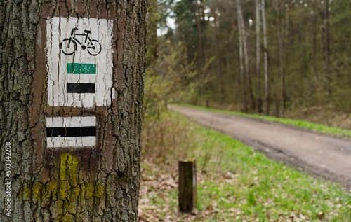 Bike trail sign, tourist hiking trail, black trail, green path, bike path in Poland Nature Reserve forest
