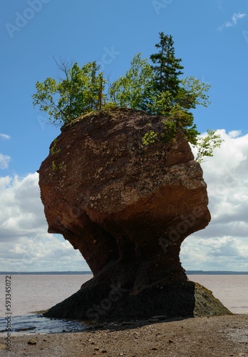 Hopewell Rock head silhouette