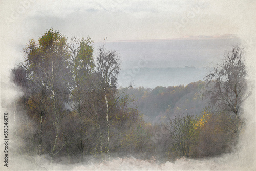 Digital watercolour painting of autumnal fall tree and leaf colours at the Downs Banks, Barlaston, Staffordshire.