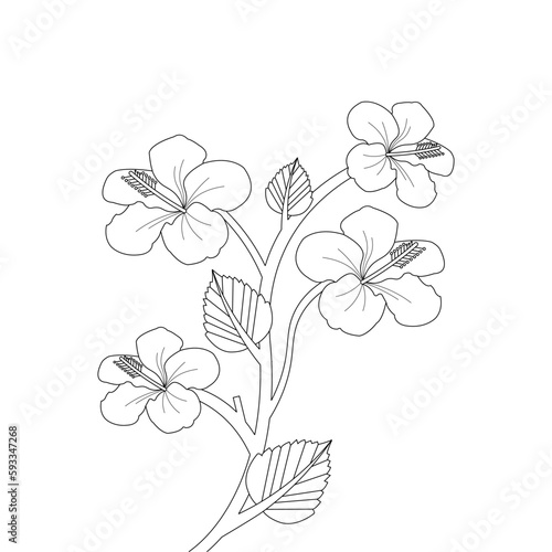 Hibiscus Flower Coloring page Hand Drawn illustration With Line Art   